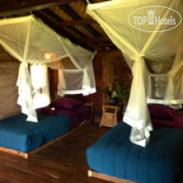 Dragonfly Village
