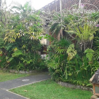 Mumbul Inn