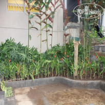 Dono Guest House 