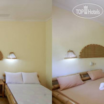 Citrus Tree B&B - Widia 