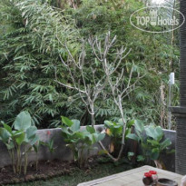 Citrus Tree B&B - Widia 