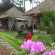 Suka's House Bed & Breakfast 