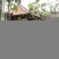 9th House