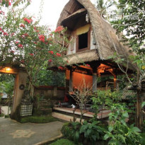 Omah Dtaman