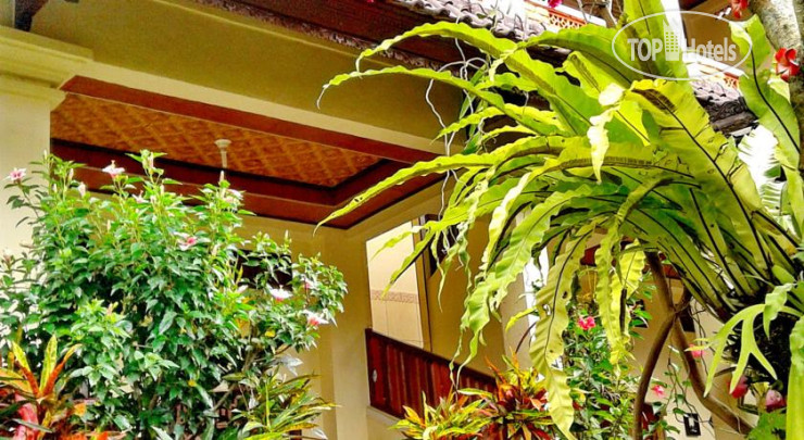 Hotelier's photos Arjuna House 2 1*