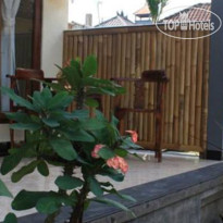 Citrus Tree B&B - Kunyit 