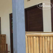 Citrus Tree B&B - Kunyit 