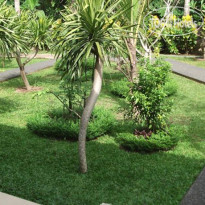 Coco Alami Guest House