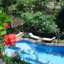Sari Wangi Cottage