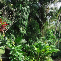 Sari Wangi Cottage