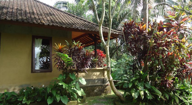 Hotelier's photos Sari Wangi Cottage 2*