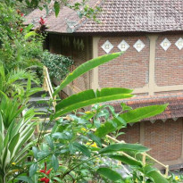 Ani's Villas
