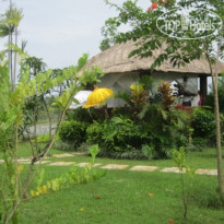 Aruna Villa