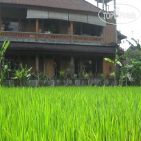 Ubud Sensasi