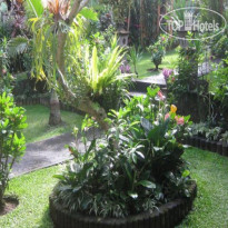 Ubud Sensasi