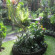 Ubud Sensasi 