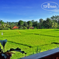 Danasari Accommodation 