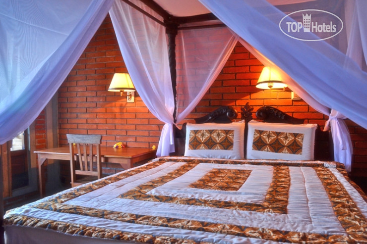 New photos from tourists Danasari Accommodation