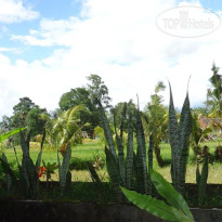 Bali Moon Guest House