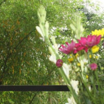 Pondok Bambu Homestay
