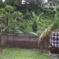 Dewi Ayu Accommodation