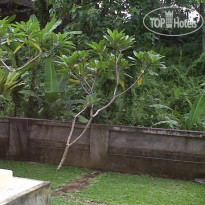 Dewi Ayu Accommodation