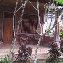 Dewi Ayu Accommodation