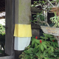 Rumah Taman