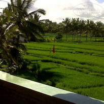 Arjana Bungalows Rice Field