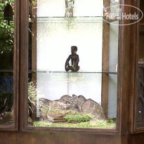 Han Snel Siti Bungalow