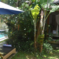 Tri Sandhya Villa