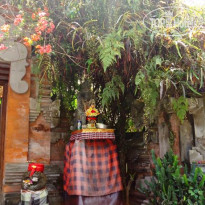 Gusti's Garden Bungalows