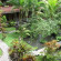 Gusti's Garden Bungalows 