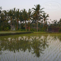 Gusti's Garden Bungalows