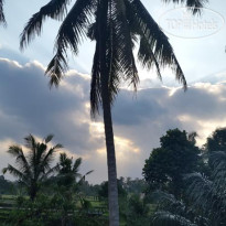 Suara Alam Ubud by Ini Vie Hospitality 