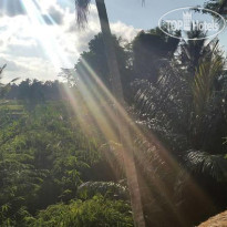 Suara Alam Ubud by Ini Vie Hospitality 