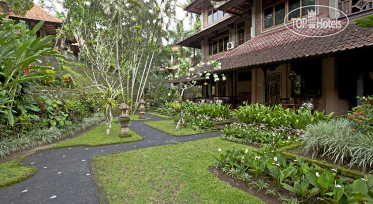 New photos from tourists Artini Cottages 2 3*