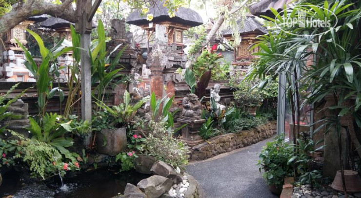 New photos from tourists Desak Putu Putera Homestay 1*