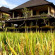 Permana Cottages 
