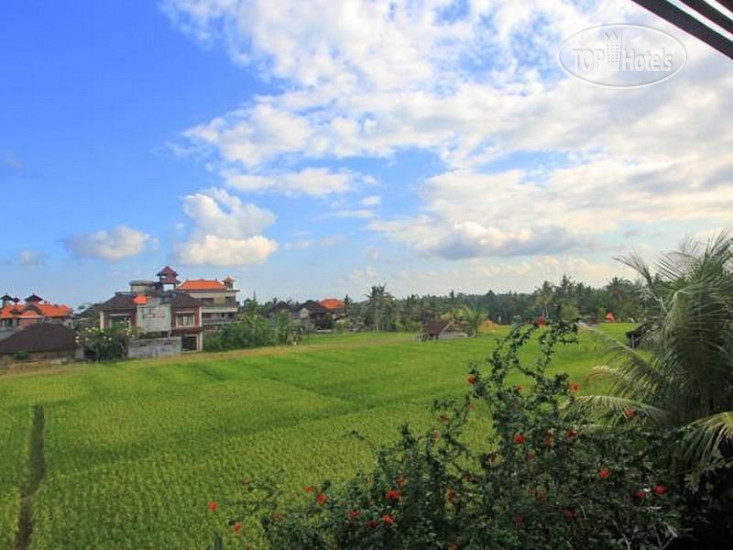 New photos from tourists Permana Cottages 2*