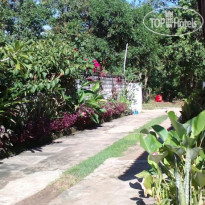 Bali Natural Homestay 