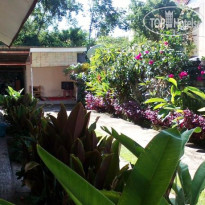 Bali Natural Homestay 