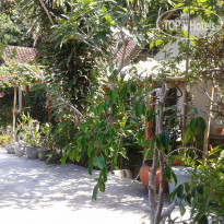 Ari Home Stay 