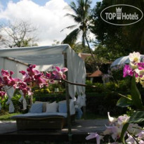 Abalone Resort
