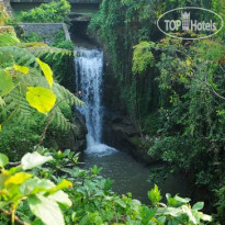 Indira Cottage Ubud Bali 