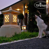 Bali Dive Resort and Spa