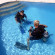 Ocean Sun Dive Resort 