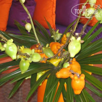 Villa Cepaka Bed & Breakfast