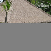 Villa Cepaka Bed & Breakfast