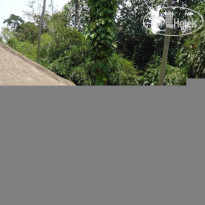 Villa Cepaka Bed & Breakfast